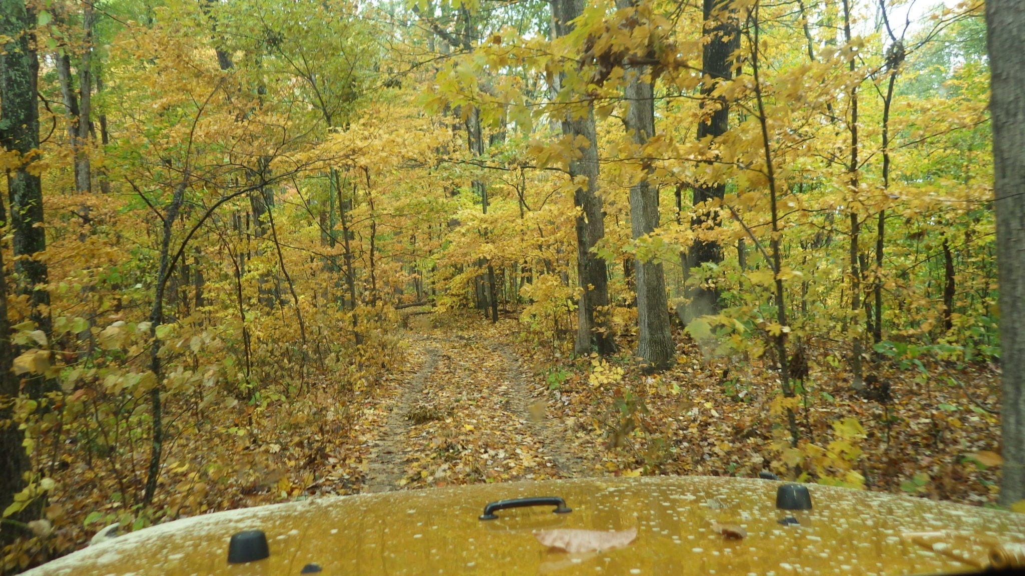 Ray Newman Williamsburg, KY Jeep Jamboree U.S.A.