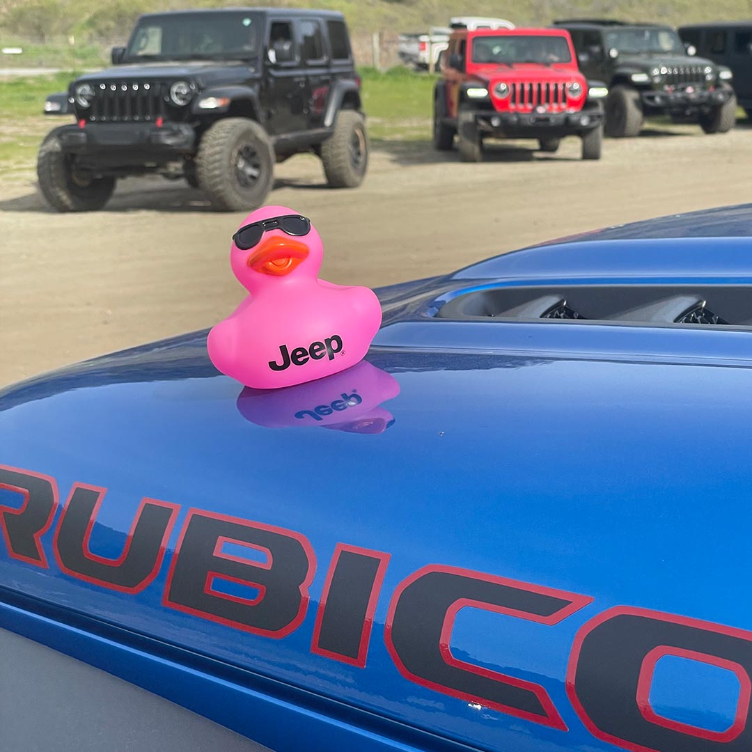 pink rubber duck on rubicon