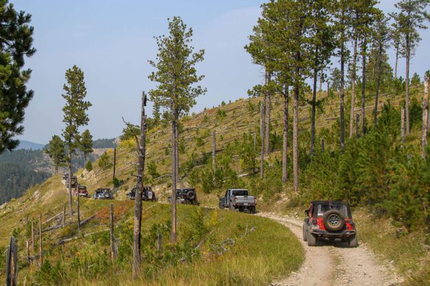 black hills jeeps driving in a row