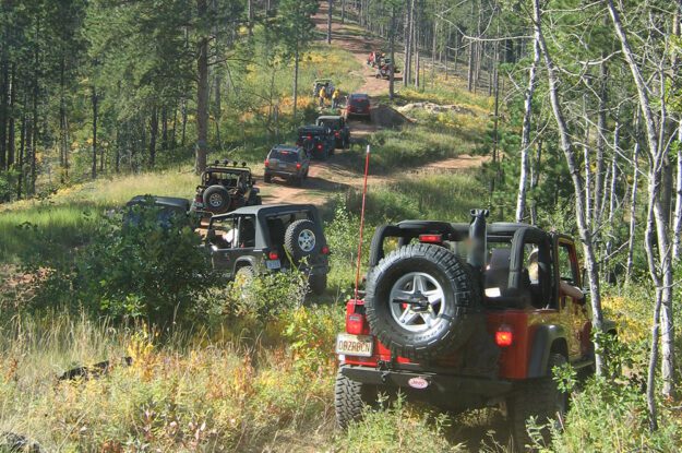 black hills jeeps in forest