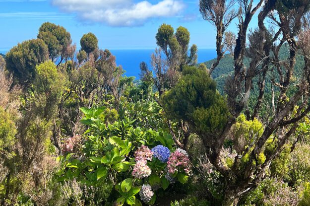 natural beauty in azores