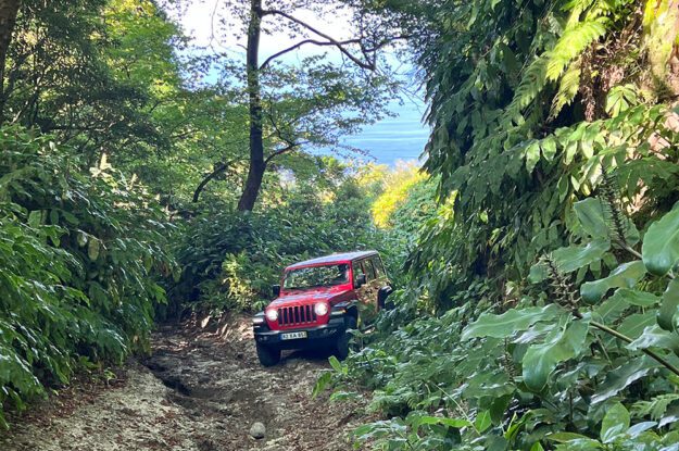 red jeep in the woods