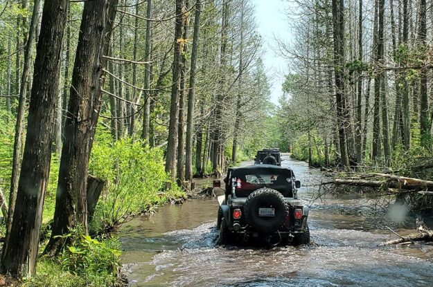 row of jeeps in water
