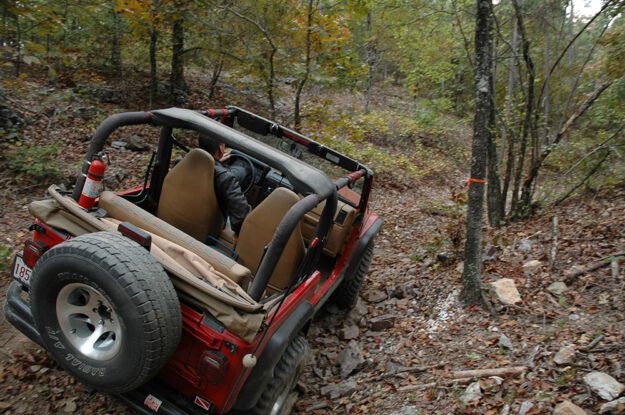 red jeep in woods