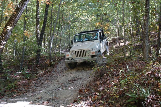 white jeep in woods