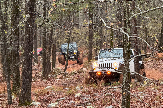 two jeeps in woods at dusk