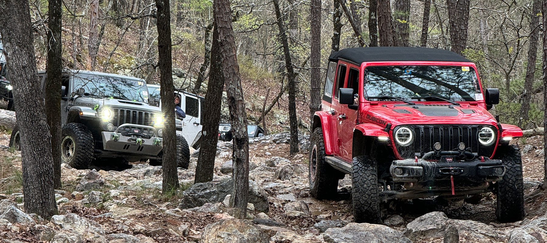 jeeps in forest at hot springs