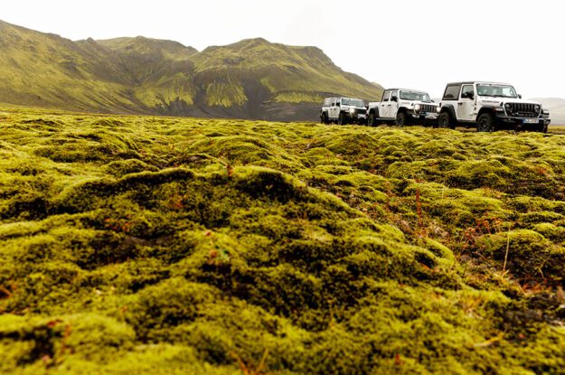 three jeeps on top of mossy hill