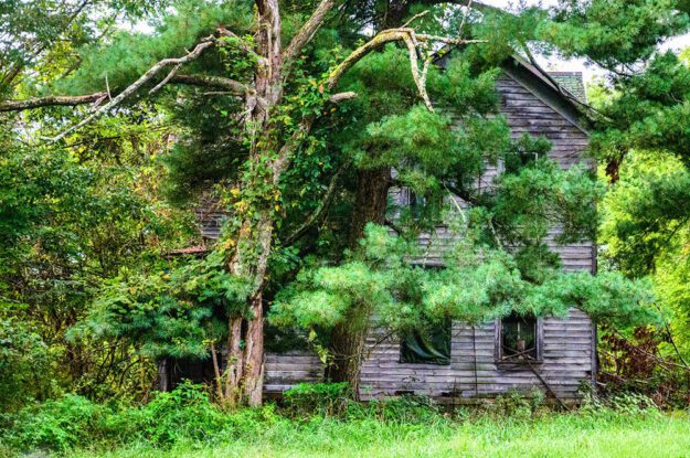 old house in the woods