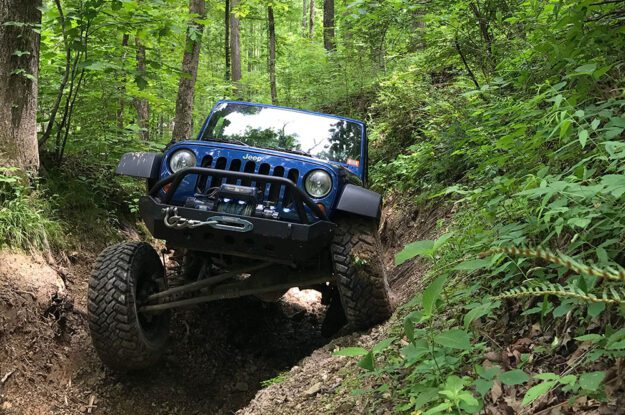 blue jeep in the trees