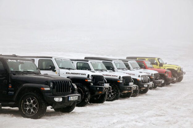 jeeps lined up ready to go