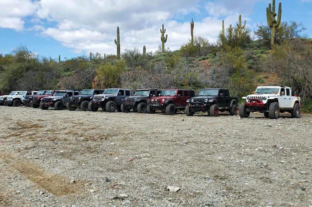 jeeps lined up by cacti