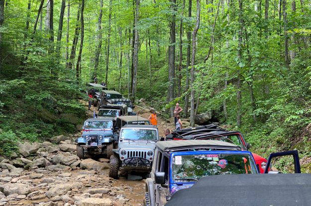 group of jeeps in the trees