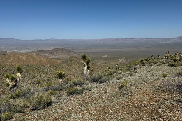 desert road