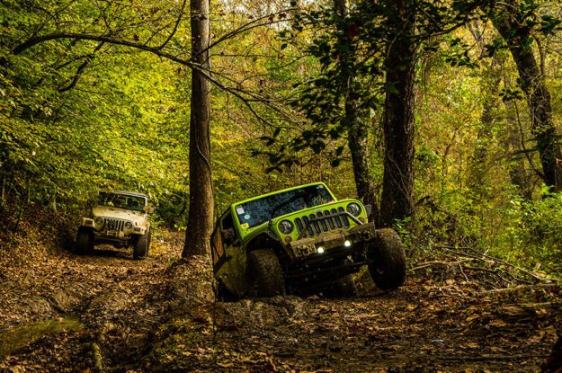 Two jeeps driving in the woods