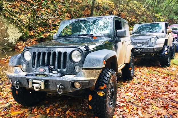 Jeeps on leaves