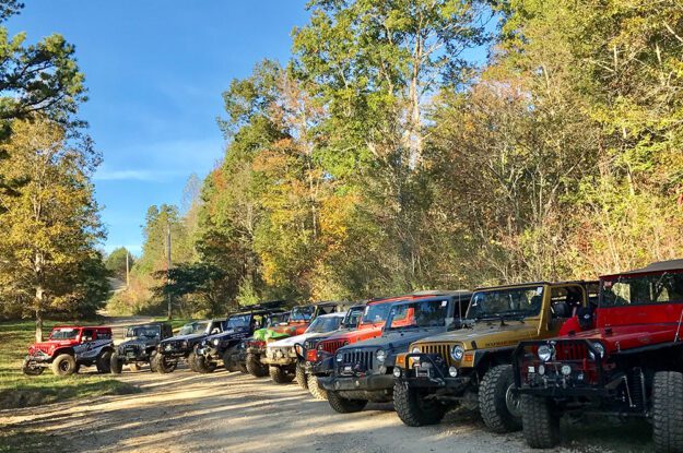 Jeeps lined up under trees