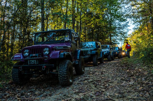 Line of jeeps parked in the woods