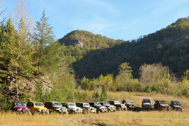 Jeeps parked in a meadow