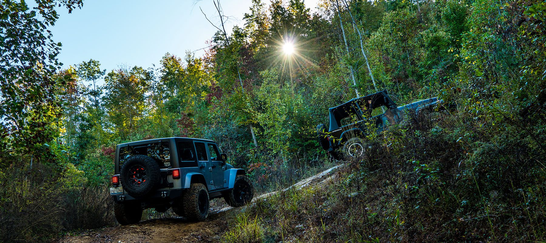 jeeps at gateway