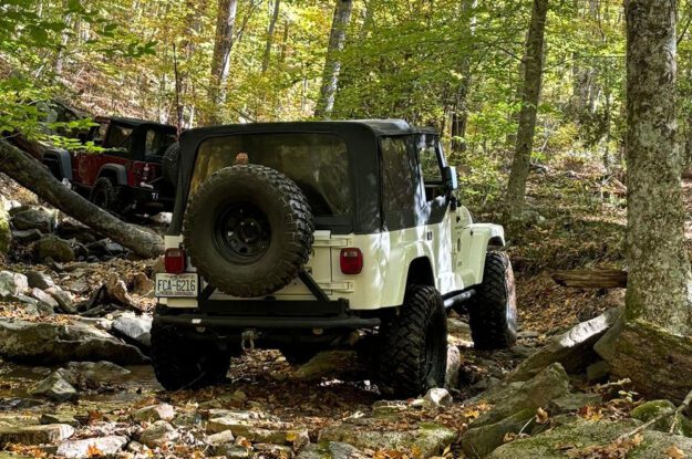 white jeep in woods