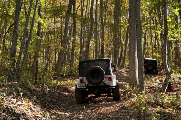 jeep in the trees