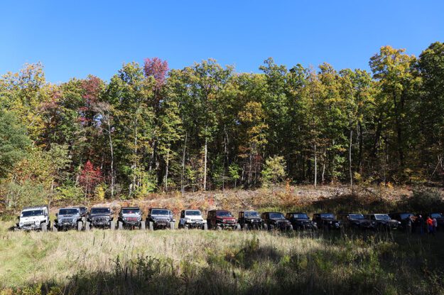 jeeps in meadow
