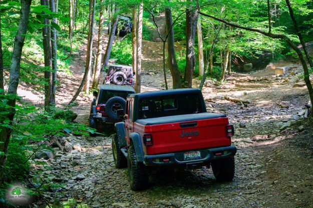 Three jeeps driving through woods