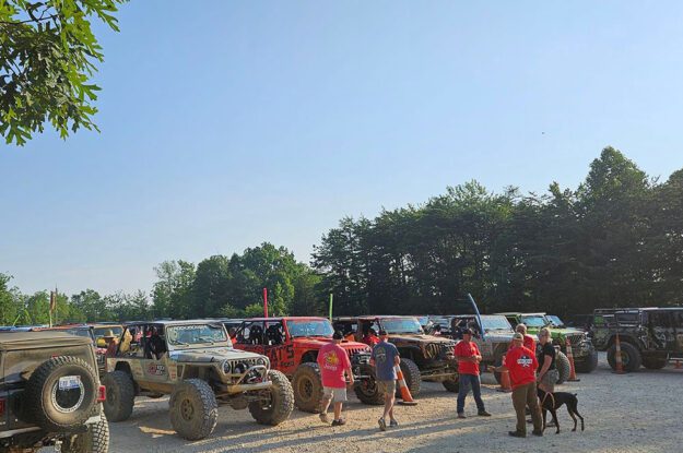 Jeeps in rows