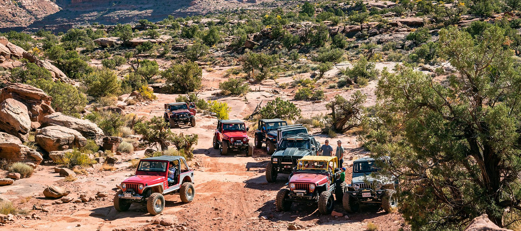 jeeps in moab