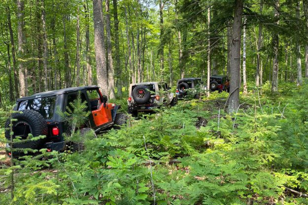 4 Jeeps driving in the woods