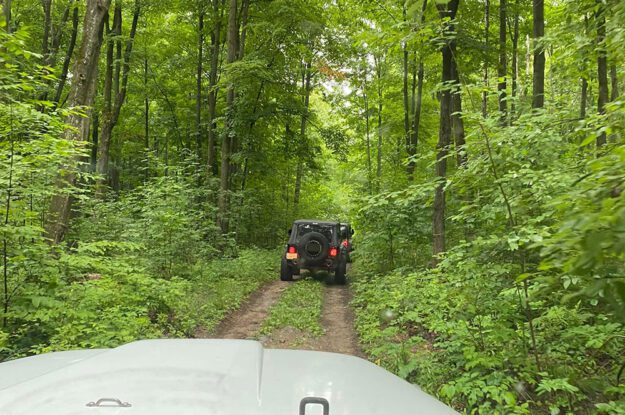 Jeeps driving in the woods