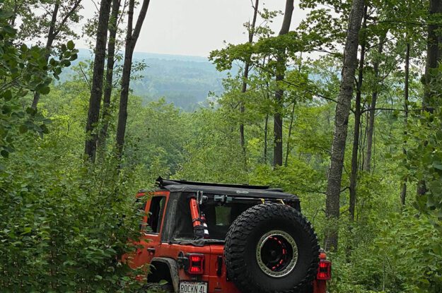 Orange jeep in the woods