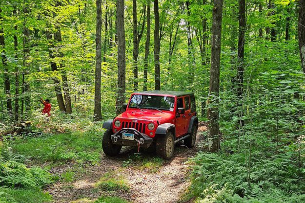 Red Jeep in the woods