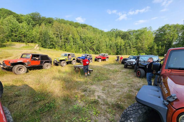 Jeeps in a meadow