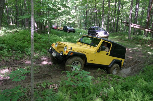 yellow jeep in the woods