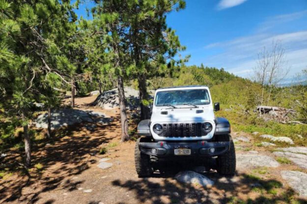 white jeep in woods