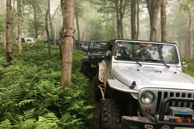 jeeps foggy morning