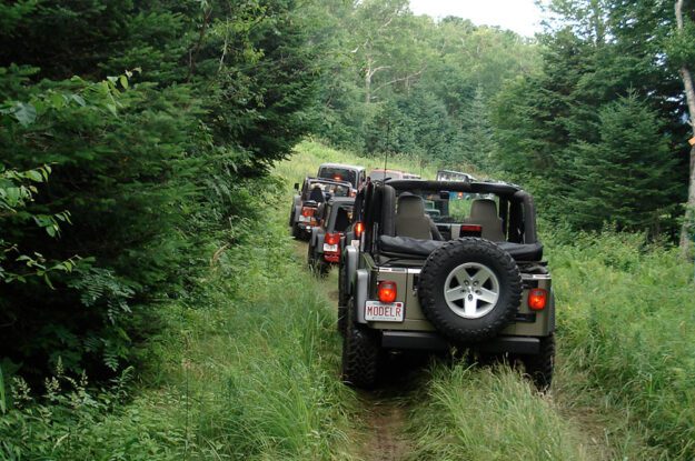 row of jeeps from behind