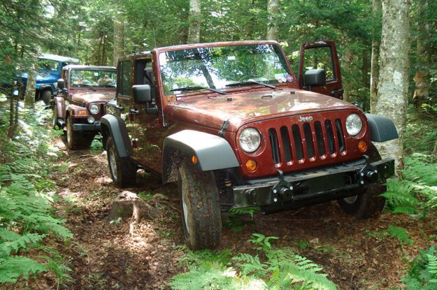 rust jeep in woods