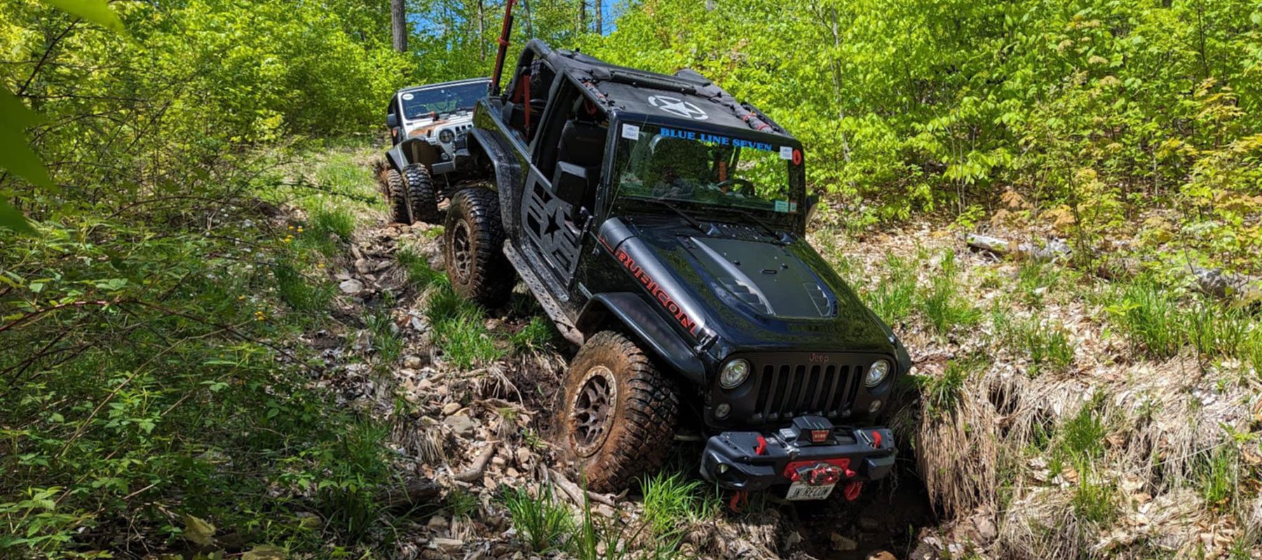 jeep in the woods