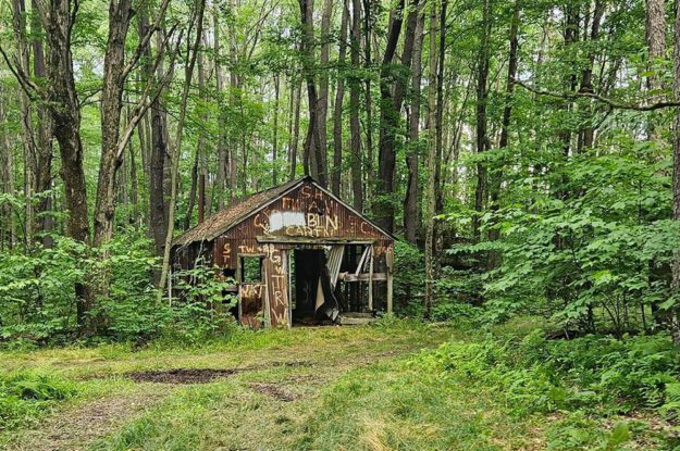 Shack in the woods