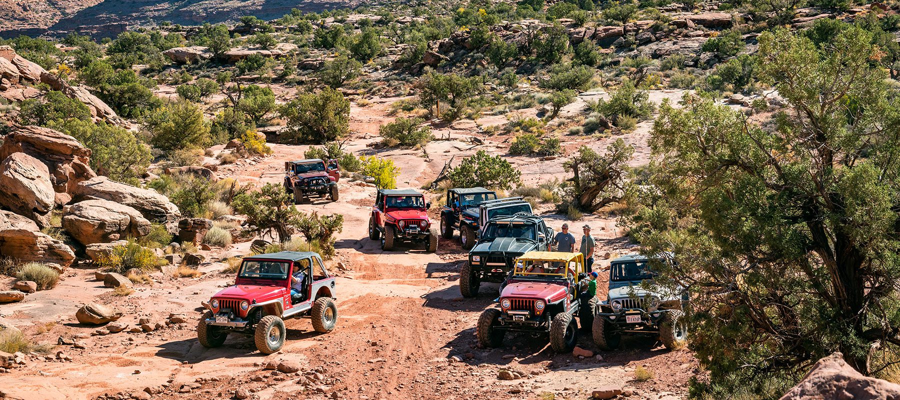 group of jeeps in moab