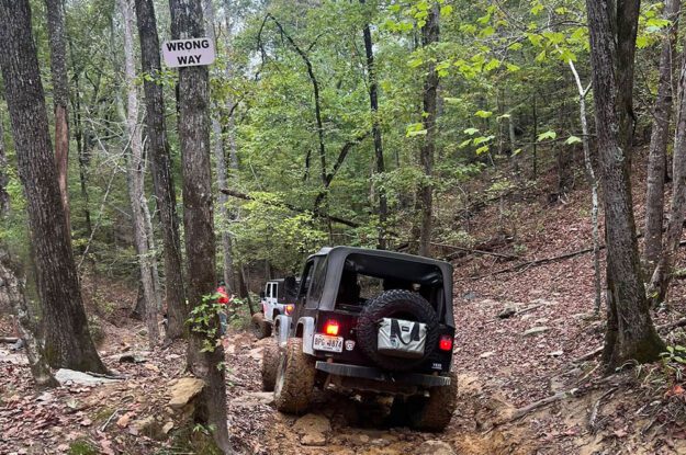 two jeeps from behind