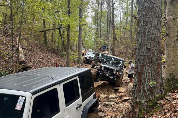 row of jeeps in woods