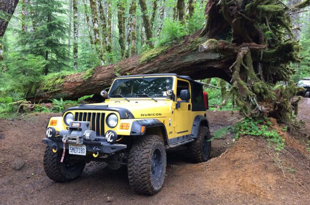 Jeep driving under fallen tree