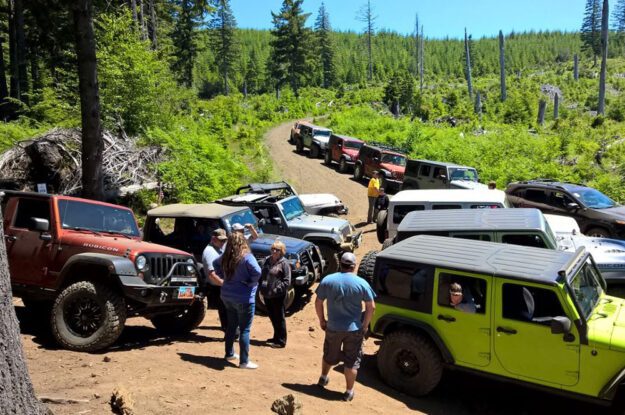 Jeepers talking next to Jeeps