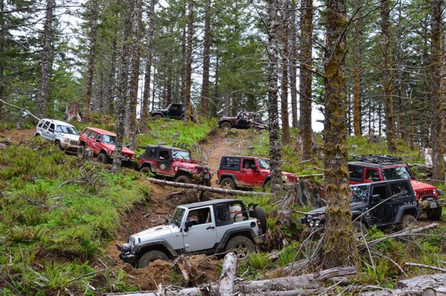 Jeeps on switchbacks in the woods