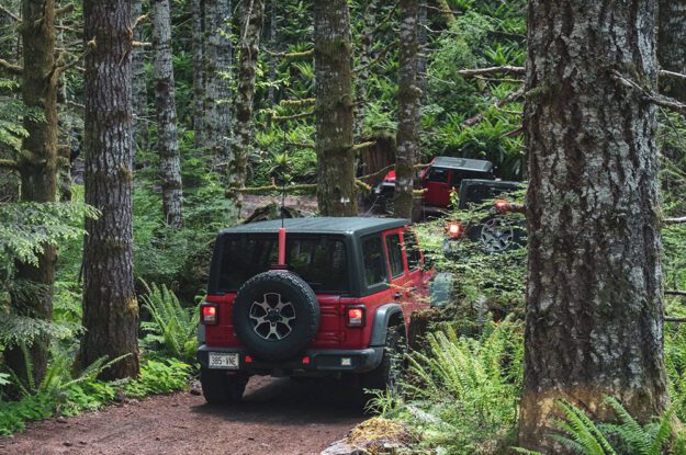 Three jeeps in the woods