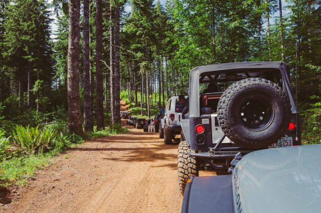 Jeeps on dirt road in the woods